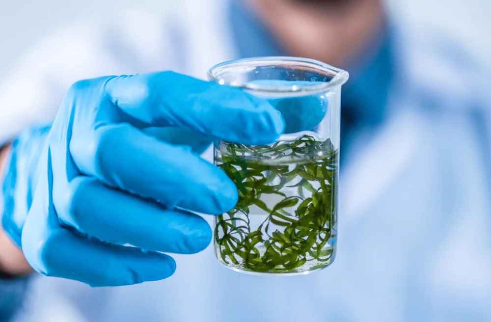 New AG International Simris Group Enters into MoU Regarding Sale of ...
